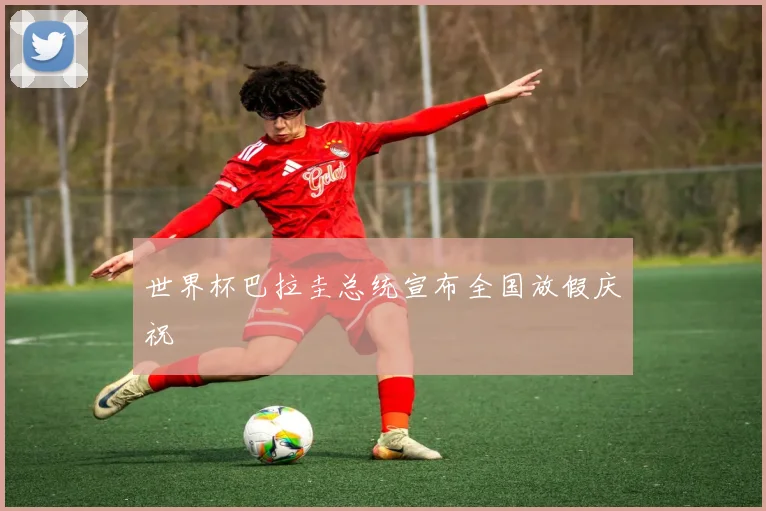 世界杯巴拉圭总统宣布全国放假庆祝